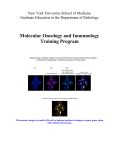 Molecular Oncology and Immunology Training Program New York University School of Medicine