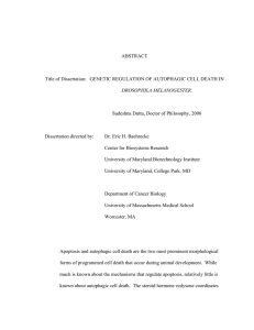 ABSTRACT Title of Dissertation:   GENETIC REGULATION OF AUTOPHAGIC CELL... Sudeshna Dutta, Doctor of Philosophy, 2008