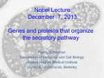Nobel Lecture December  7, 2013  Genes and proteins that organize