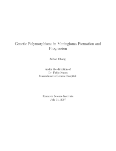 Genetic Polymorphisms in Meningioma Formation and Progression