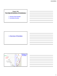 3/12/2015 The Origin &amp; Evolution of Vertebrates I 1. Overview of Chordates