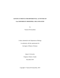 by Vanessa Di Gioacchino A thesis submitted to the Department of Biology