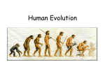 human evolution ppt - Valhalla High School