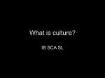 What is culture? - Fullerton Union High School