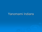 Yanomami Indians