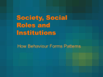 Society, Social Roles and Institutions