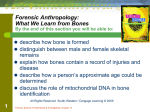 5 Development of Bone