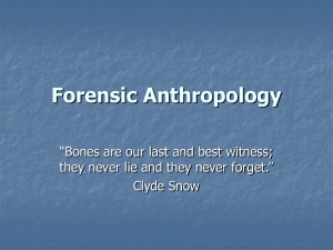 Forensic Anthropology - Bryn Mawr School Faculty Web Pages