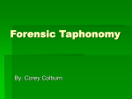 Forensic Taphonomy