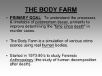 THE BODY FARM