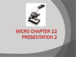 Micro Chapter 22 Presentation 2