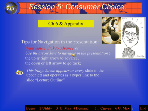 Session 05 Consumer Choice Flash Format