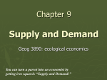 Chapter 8 The Basic Market Equation