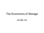 The Economics of Storage