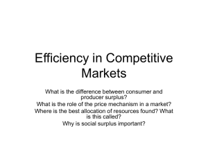 Efficiency in Competitive Markets
