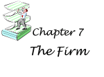 Chapter 7 The Firm