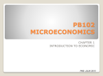 pb102 microeconomics