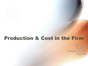 Production & Cost in the Firm