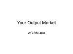 Your Output Market