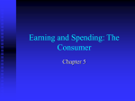 Earning and Spending: The Consumer