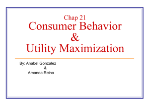 Chap 21 Consumer Behavior &Utility Maximization
