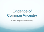 Evidence of Common Ancestry