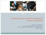 EIR Accessibility Framework Template