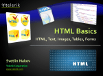 HTML Basics - HTML, Text, Images, Tables, Forms