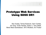 Prototype Web Services Using SDSS DR1