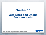 Chapter 16 Web Sites and Online Environments