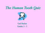 Human Tooth - Cal State LA