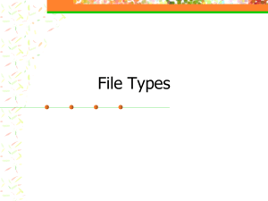 File Types