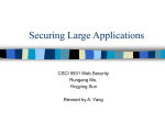 Securing a Large Application