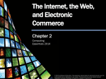 The Internet, the Web, and Electronic Commerce Chapter 2