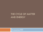 The cycle of matter and energy