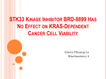 STK33 Kinase Inhibitor BRD-8899 Has No Effect