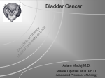 Bladder Cancer