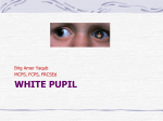 white pupil - howMed Lectures