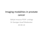 Imaging modalities in prostate cancer