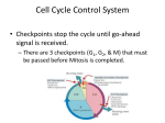 Cell Cycle Control System - Santa Susana High School
