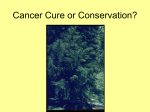 Cancer Cure or Conservation? - Institute for Environmental