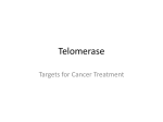 Telomerase and Topoisomerase