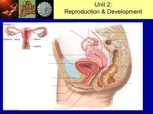 Unit 2 – Reproduction & Development Check this out!