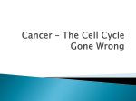 Cancer – The Cell Cycle Gone Wrong