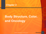 Body Structure - Objectives including colors & Oncology