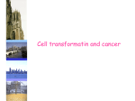 01A cell transformation