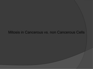 Mitosis in Cancer Cells