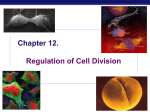 Chapter 12. Regulation of the Cell Cycle