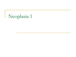Neoplasia Intro