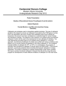 Centennial Honors College Western Illinois University Undergraduate Research Day 2012